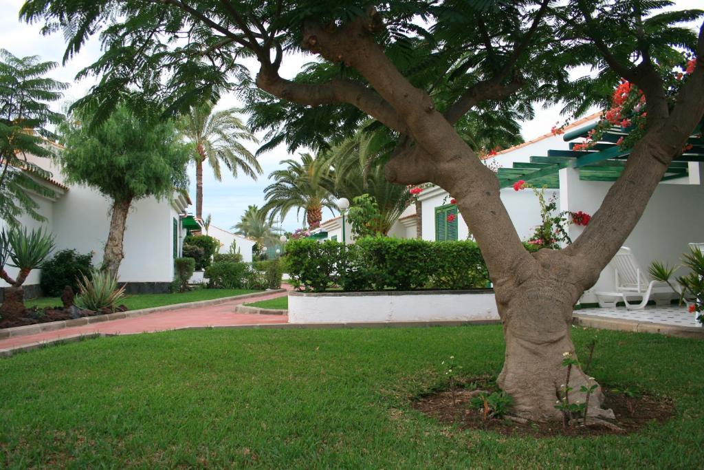 Bungalows Campo Golf Maspalomas  Exteriör bild