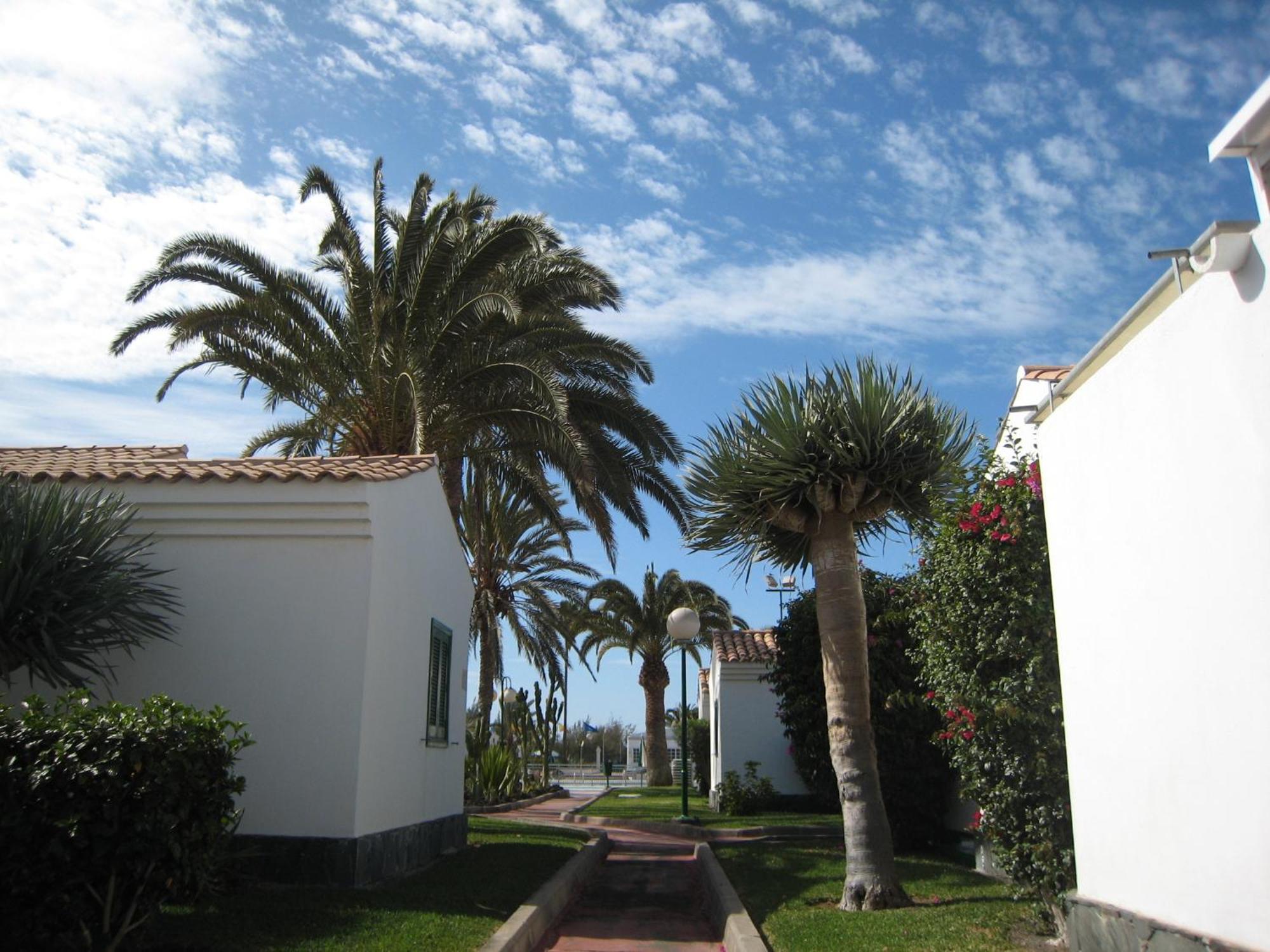 Bungalows Campo Golf Maspalomas  Exteriör bild